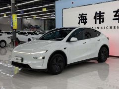 Tesla Model Y Rear-Wheel Drive - ფოტო 1