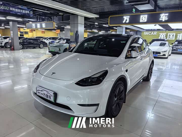 Tesla Model Y Long Range All-Wheel Drive - ავტომობილი ჩინეთიდან