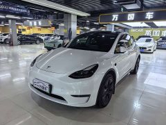 Tesla Model Y Long Range All-Wheel Drive - ფოტო 1