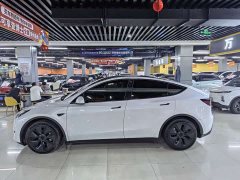 Tesla Model Y Long Range All-Wheel Drive - ფოტო 7