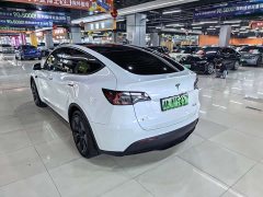 Tesla Model Y Long Range All-Wheel Drive - ფოტო 8