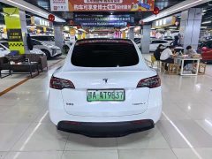 Tesla Model Y Long Range All-Wheel Drive - ფოტო 9