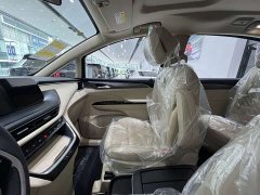 Buick GL8 Land Executive Cabin Comfort DG Edition - ფოტო 10