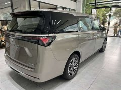 Buick GL8 Land Executive Cabin Comfort DG Edition - ფოტო 14