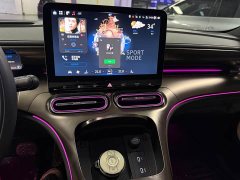 smart #1 Premium - ფოტო 10