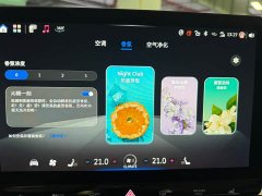 smart #1 Premium - ფოტო 15
