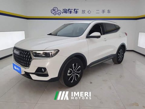 2024 Haval H6 2023 National Trend Edition 1.5T Automatic Urban Version - ავტომობილი ჩინეთიდან