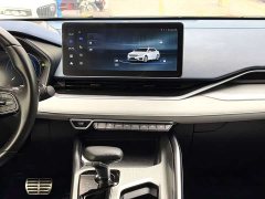 Geely Xingrui 2.0T Diesel Premium - ფოტო 7