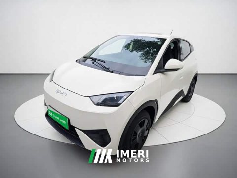 2026 BYD Seagull 2025 Smart Drive 305km Vitality Edition - ავტომობილი ჩინეთიდან