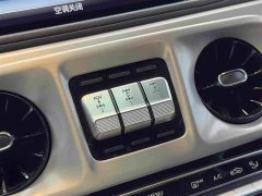 Mercedes-Benz G-Class 2020 G 350 - ფოტო 17