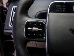 Li Auto L9 2022 Max - ფოტო 16