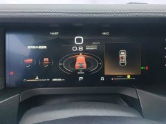 Tank 300 2021 Off-Road Edition 2.0T Conqueror - ფოტო 14
