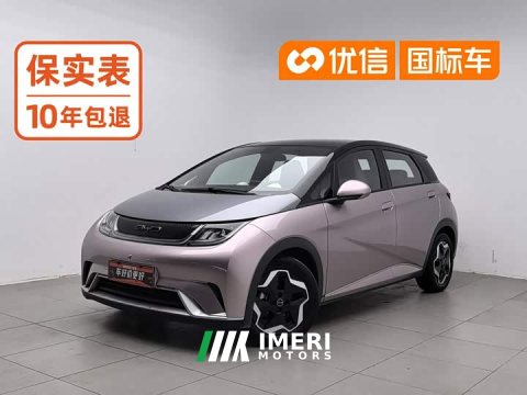 2022 BYD Dolphin 405km Fashion Edition - ავტომობილი ჩინეთიდან