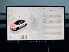 Tesla Model Y Rear-Wheel Drive - ფოტო 13