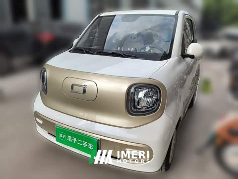 2024 FAW Besturn Xiaoma 170km Vitality Edition - ავტომობილი ჩინეთიდან