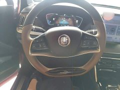 BYD Yuan Plus DM-i 2021 112KM Premium Edition - ფოტო 10