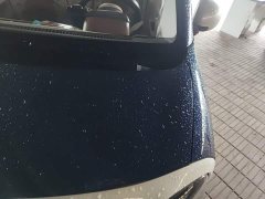 FAW Besturn Xiaoma 2026 222km Colorful Edition - ფოტო 19