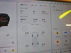 Li Auto L7 MAX - ფოტო 11