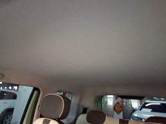 Changan Lumin 301km Honey Scent Edition - ფოტო 17