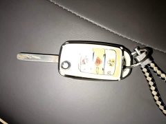 Changan Lumin 301km Honey Scent Edition - ფოტო 8