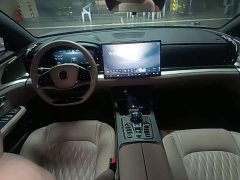 BYD Han DM-i 125KM Elite - ფოტო 9