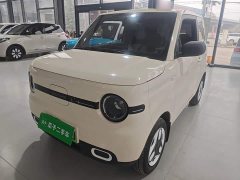 Geely Panda Mini 210km Vitality Edition - ფოტო 1