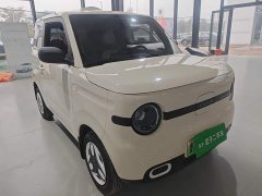 Geely Panda Mini 210km Vitality Edition - ფოტო 3