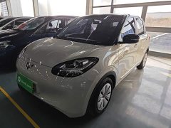Wuling Binguo 203km Light Enjoy Edition - ფოტო 1