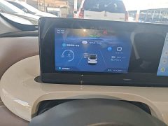 Wuling Binguo 333km Joy Edition - ფოტო 11