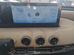 Wuling Binguo 333km Joy Edition - ფოტო 12