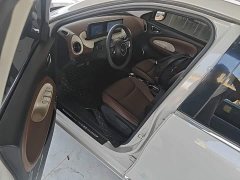 Wuling Binguo 333km Joy Edition - ფოტო 15