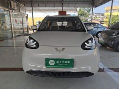 Wuling Binguo 333km Joy Edition - ფოტო 2
