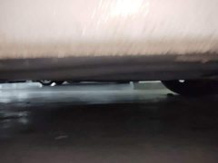 Volkswagen Lingdu L 280TSI DSG Spicy Edition - ფოტო 15