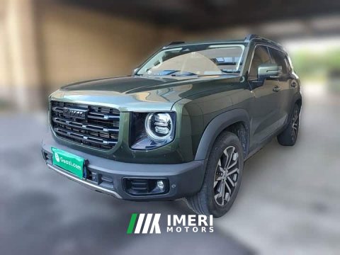 2022 Great Wall Dachshund 2021 1.5T DCT Two-Wheel Drive Border Collie Edition - ავტომობილი ჩინეთიდან