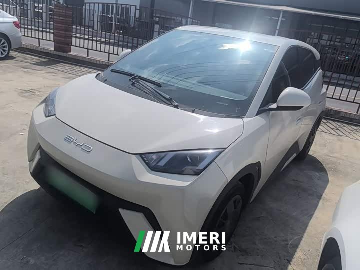 BYD Seagull 2023 Vitality Edition - ავტომობილი ჩინეთიდან