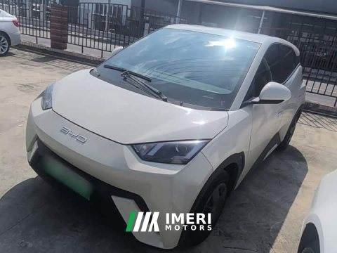 2024 BYD Seagull 2023 Vitality Edition - ავტომობილი ჩინეთიდან