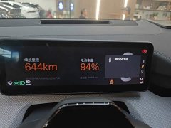 Polestar 4 Dual Motor Long Range Plus Dual Star Connected Edition - ფოტო 11