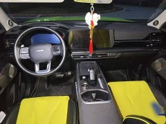 Haval Cool Dog 1.5T DCT AWD Trendy Wilderness Edition - ფოტო 12