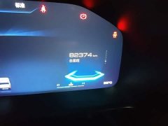 Haval Cool Dog 1.5T DCT AWD Trendy Wilderness Edition - ფოტო 4