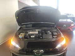 Trumpchi Leopard 400T Automatic R PRO - ფოტო 19