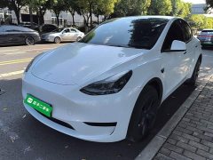 Tesla Model Y Rear-Wheel Drive - ფოტო 1