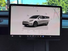 Tesla Model Y Rear-Wheel Drive - ფოტო 12