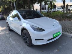 Tesla Model Y Rear-Wheel Drive - ფოტო 3