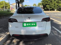 Tesla Model Y Rear-Wheel Drive - ფოტო 5