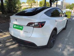 Tesla Model Y Rear-Wheel Drive - ფოტო 6