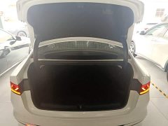 BYD Qin PLUS EV 400KM Luxury - ფოტო 18