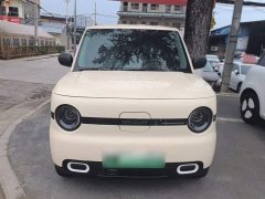 Geely Panda Mini 210km Vitality Edition - ფოტო 2