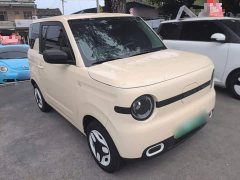 Geely Panda Mini 210km Vitality Edition - ფოტო 3