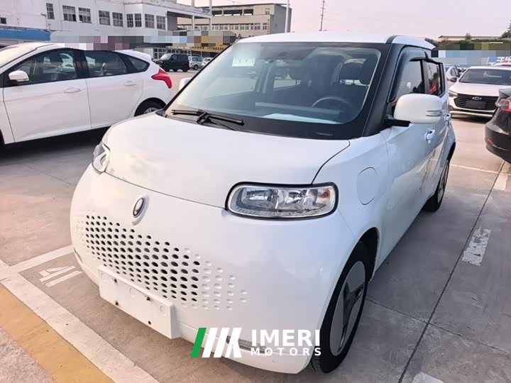 Ora White Cat Upgraded Edition 305km Comfort Edition Ternary Lithium - ავტომობილი ჩინეთიდან