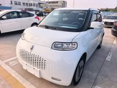 Ora White Cat Upgraded Edition 305km Comfort Edition Ternary Lithium - ფოტო 1